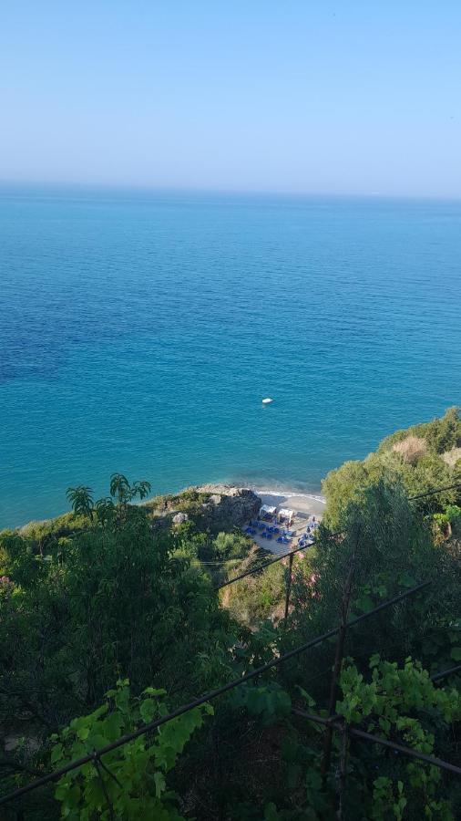 Apartament Dim's Qeparo